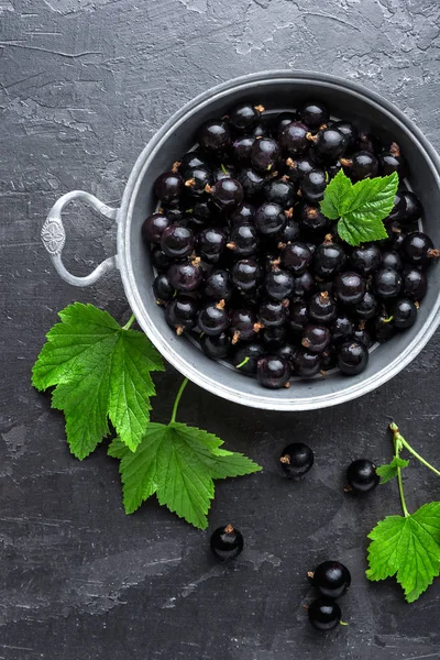 Schwarze Johannisbeeren mit Blättern, schwarze Johannisbeeren — Stockfoto