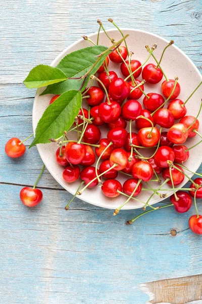 Sweet cherry med blad — Stockfoto