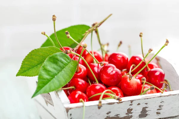 Sweet cherry on white background closeup — Stock Photo, Image