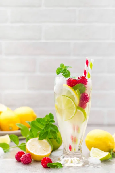 Citron mojito cocktail med lime, mynta och hallon, kall dryck med is. — Stockfoto