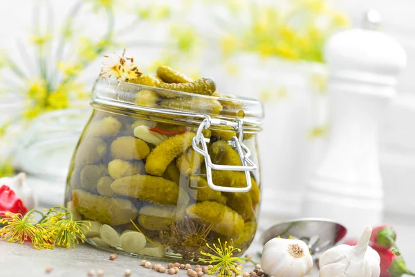 Pickled cucumbers, small marinated pickles, gherkins — Stock Photo, Image