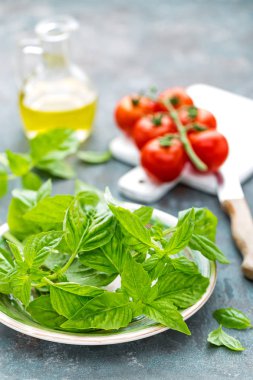 Tabak portre üzerinde taze fesleğen yaprağı