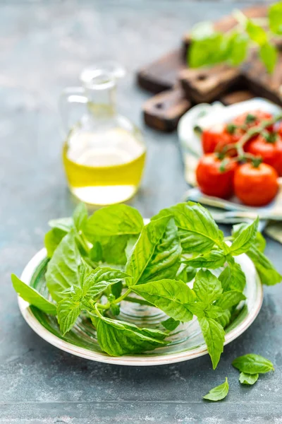 Tabak portre üzerinde taze fesleğen yaprağı