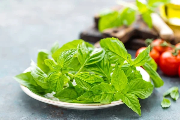 Fresh basil leaves on plate closeup — Stock Photo, Image