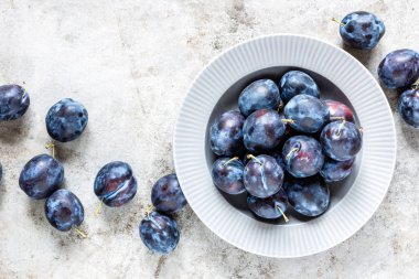 Erik üzerinde plaka Üstten Görünüm