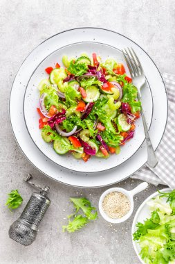 Salata taze salatalık, kereviz, tatlı biber, frize marul, kırmızı soğan ve susam yağı. Sağlıklı vejetaryen, vegan gıda. İtalyan mutfağı