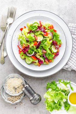 Salata taze salatalık, kereviz, tatlı biber, frize marul, kırmızı soğan ve susam yağı. Sağlıklı vejetaryen, vegan gıda. İtalyan mutfağı