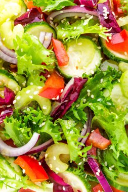 Salata taze salatalık, kereviz, tatlı biber, frize marul, kırmızı soğan ve susam yağı. Sağlıklı vejetaryen, vegan gıda. İtalyan mutfağı