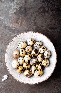 Paskalya bıldırcın yumurtası. Üstten Görünüm