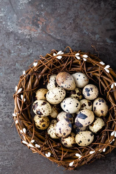 イースター ウズラの卵 トップ ビュー — ストック写真
