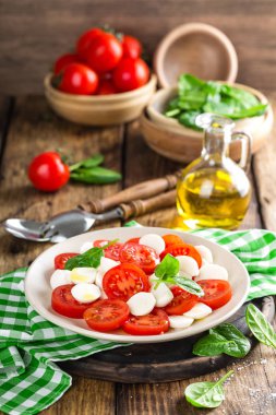 Mozzarella peyniri ve zeytinyağı ile domates salatası