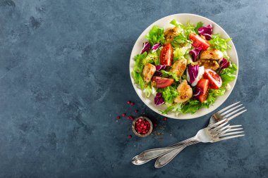 Domates, salatalık, İtalyan mix, marul ve ızgara tavuk göğsü tablo taze sebze salatası kase. Kızarmış tavuk eti, salata ile fileto. Sağlıklı gıda. Diyet yemek veya öğle yemeği menüsü. Düz yatıyordu. Yukarıdan görüntülemek