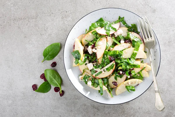 Ensalada Saludable Frutas Bayas Con Manzanas Frescas Arándanos Nueces Queso — Foto de Stock