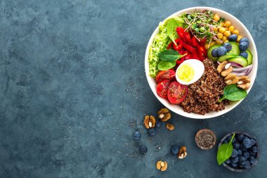 Buda kase yemek haşlanmış yumurta, nohut, taze domates, tatlı biber, salatalık, savoy lahana, kırmızı soğan, yeşil filizlenir, ıspanak yaprakları, yaban mersini, ceviz, chia ve quinoa. Sağlıklı yemek, yemek kase. Detoks diyet. Dengeli yemek. Üstten Görünüm