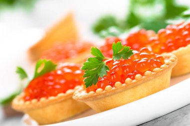 Tartlets kırmızı somon havyar, somon havyar balık. Havyar