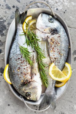 Taze dorado balık. Limon ve biberiye çiğ dorado balık. Çipura veya dorada balık