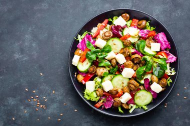 Mantar ve mozzarella peyniri siyah plaka üzerinde taze sebze salatası. Fried petrol sebze salatası ile