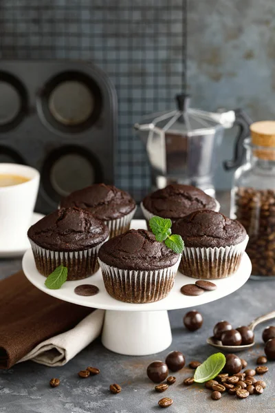 Muffins Chocolate Café Para Desayuno —  Fotos de Stock