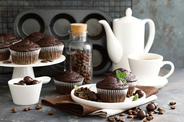 Muffins Chocolate Café Para Desayuno — Foto de Stock