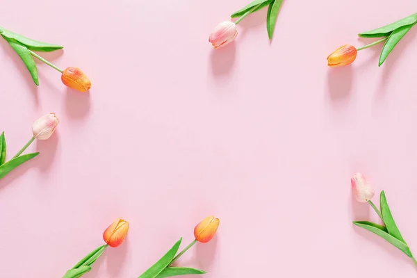 Voorjaar Bloemenachtergrond Wenskaart Bovenaanzicht — Stockfoto