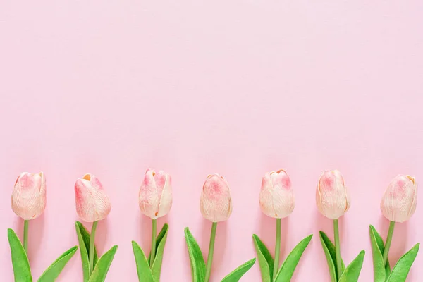 Voorjaar Bloemenachtergrond Met Tulpen Wenskaart Bovenaanzicht — Stockfoto