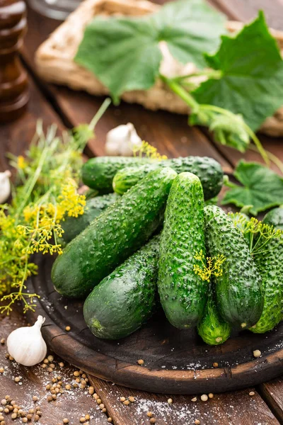 Fermentation Concombres Recette Cuisine Cornichons Salés Marinés Ail Aneth Avec — Photo