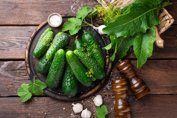 Fermenteren Komkommers Koken Recept Gezouten Gemarineerde Augurken Met Knoflook Dille — Stockfoto