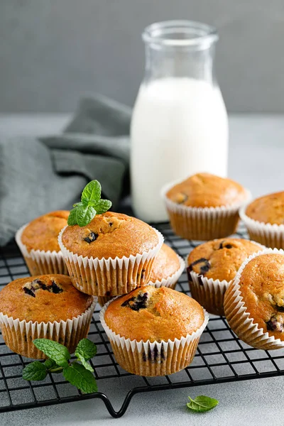 Blaubeer Bananen Muffins Mit Frischen Beeren — Stockfoto