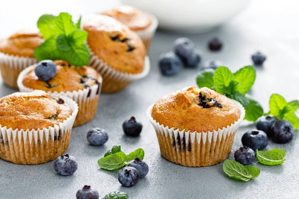 Bosbessen Bananenmuffins Met Verse Bessen — Stockfoto