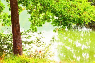  Orman Gölü kıyısında