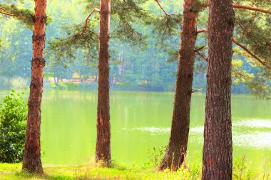  Orman Gölü kıyısında