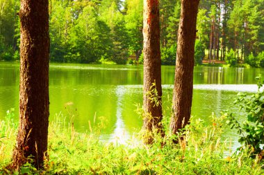  Orman Gölü kıyısında