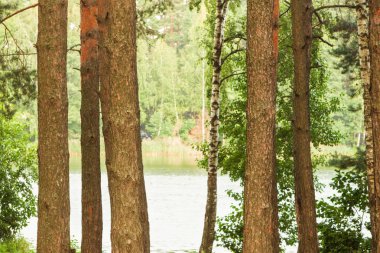  Orman Gölü kıyısında