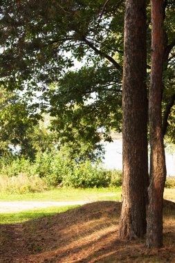  Orman Gölü kıyısında