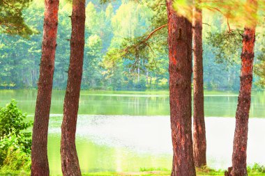  Orman Gölü kıyısında