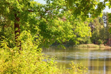  Orman Gölü kıyısında