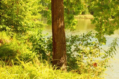 Orman Gölü kıyısında