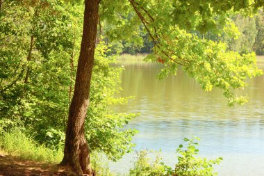  Orman Gölü kıyısında