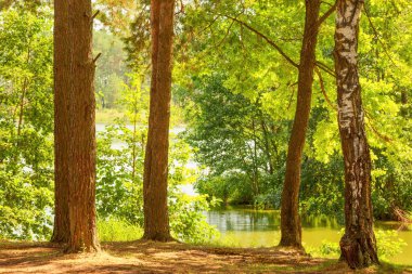  Orman Gölü kıyısında