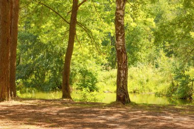  Orman Gölü kıyısında