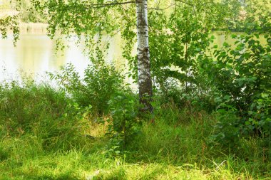  Orman Gölü kıyısında