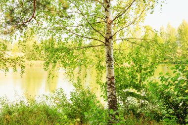  Orman Gölü kıyısında