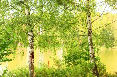  Orman Gölü kıyısında