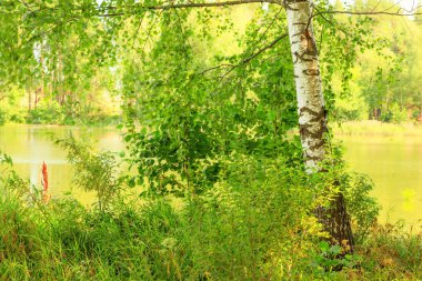  Orman Gölü kıyısında