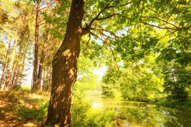  Orman Gölü kıyısında