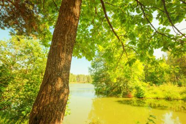  Orman Gölü kıyısında