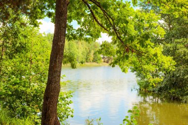  Orman Gölü kıyısında