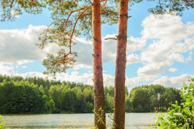  Orman Gölü kıyısında