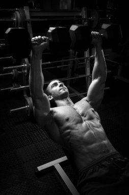 Erkek vücut geliştirmeci, fitness modeli