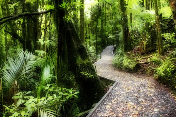 Trilha de caminhada florestal — Fotografia de Stock